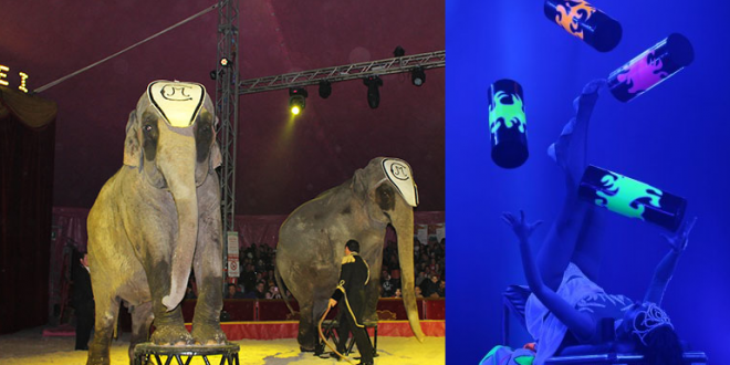 alcamo ritorna il circo in pieno centro da non perdere lo show del rinaldo orfei circus news