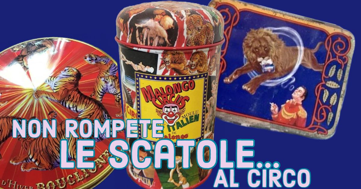 Non rompete “le scatole”… al Circo