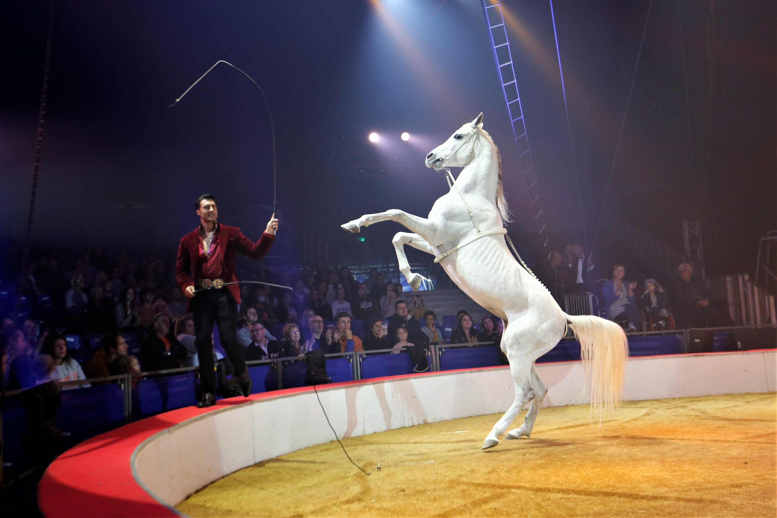 La Grande Fête Lilloise du Cirque 2022: le retour