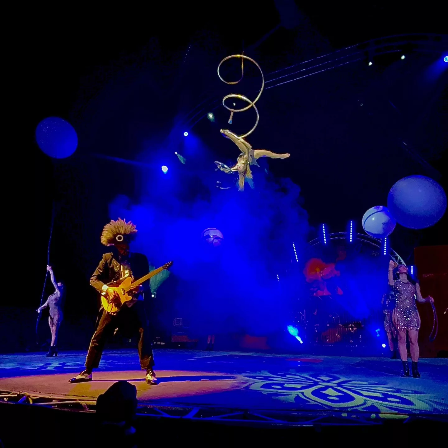 Se c’è un circo di livello europeo in Italia è sicuramente Gravity Circus